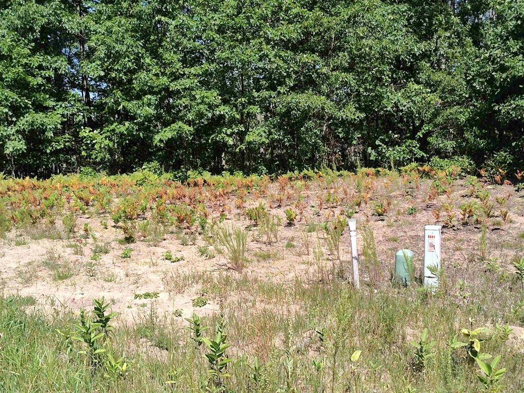 Surrey Twp, MI 48622,Lot 7 N Circle E