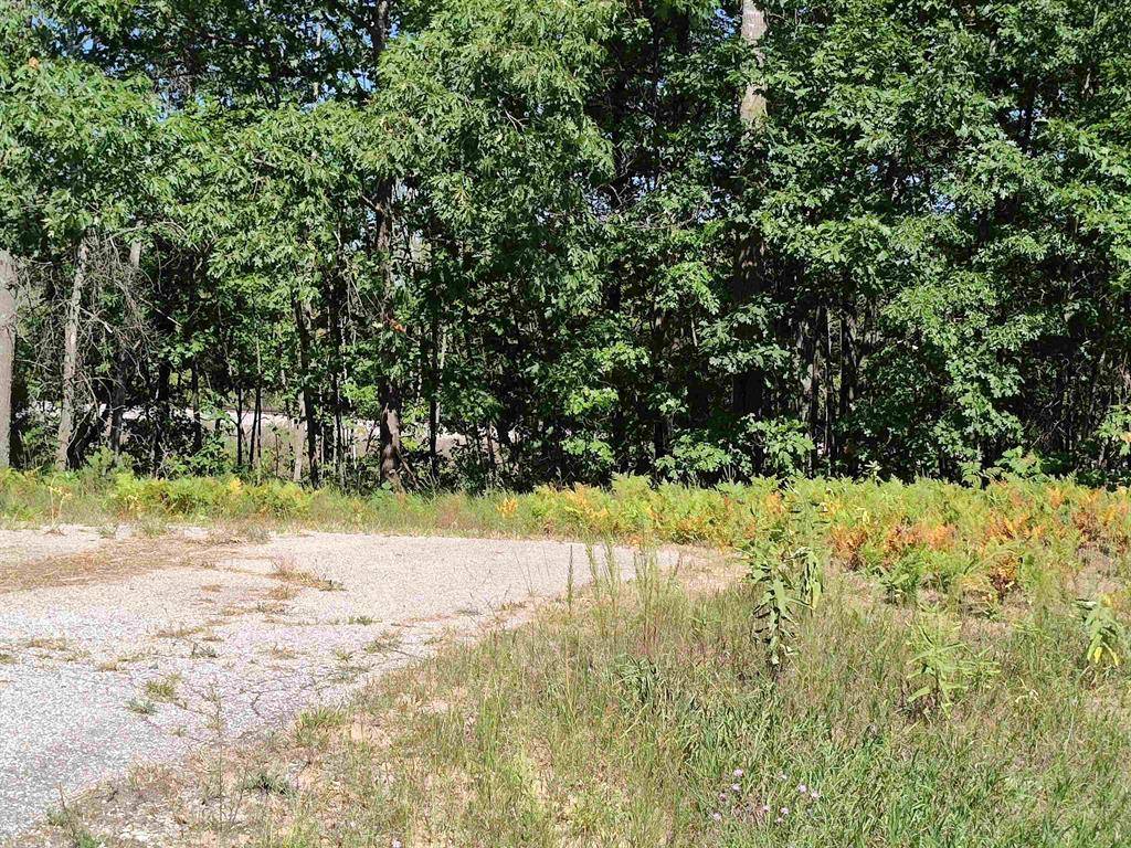 Surrey Twp, MI 48622,Lot 9 N Circle E