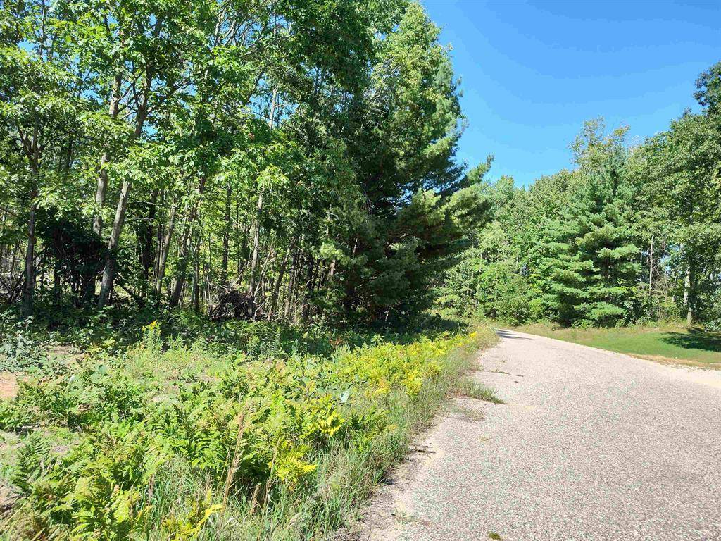 Surrey Twp, MI 48622,Lot 11 N Circle E