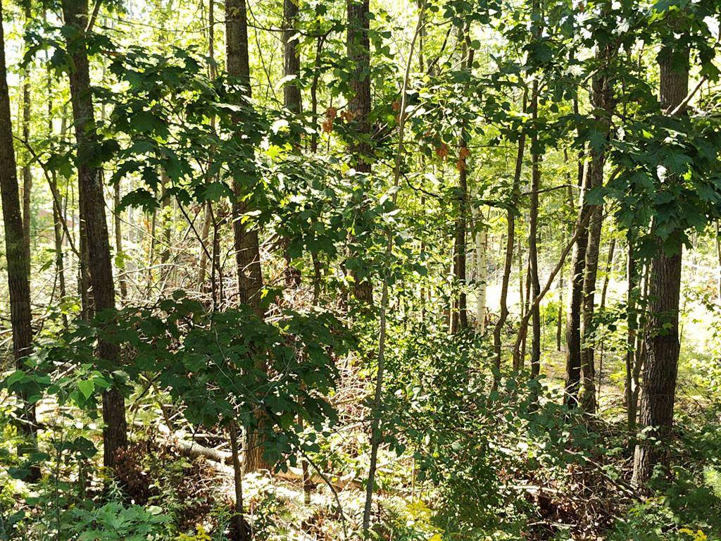 Surrey Twp, MI 48622,Lot 12 N Circle E