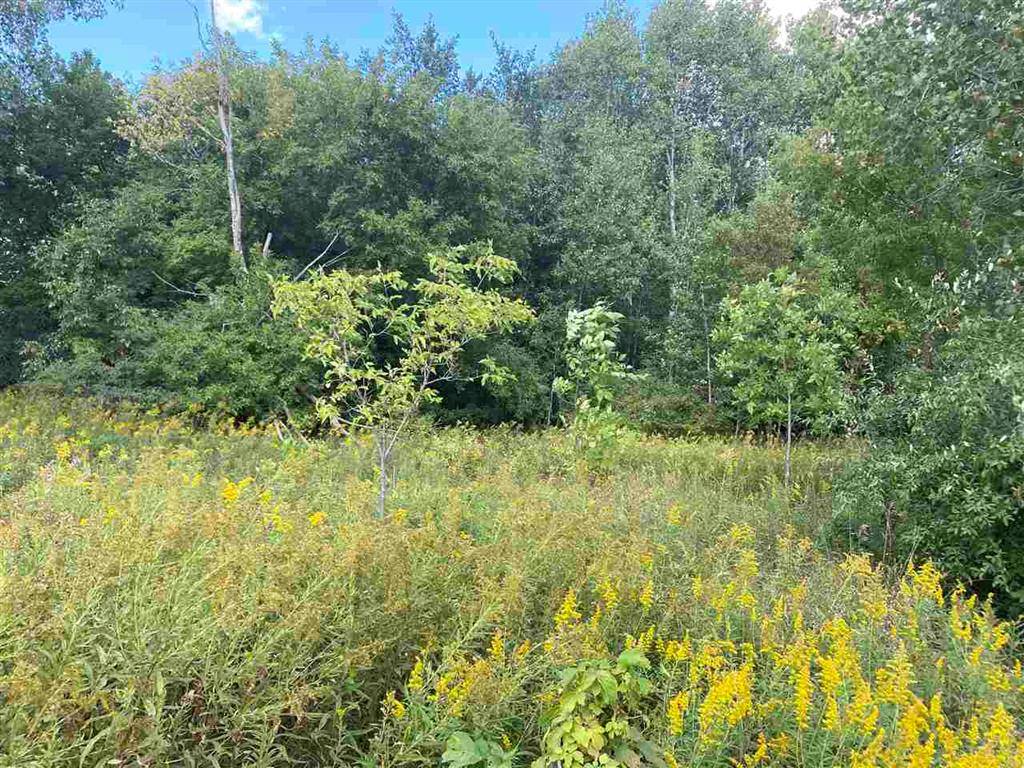 Union Twp, MI 48858,Lot 11 McDonald Drive