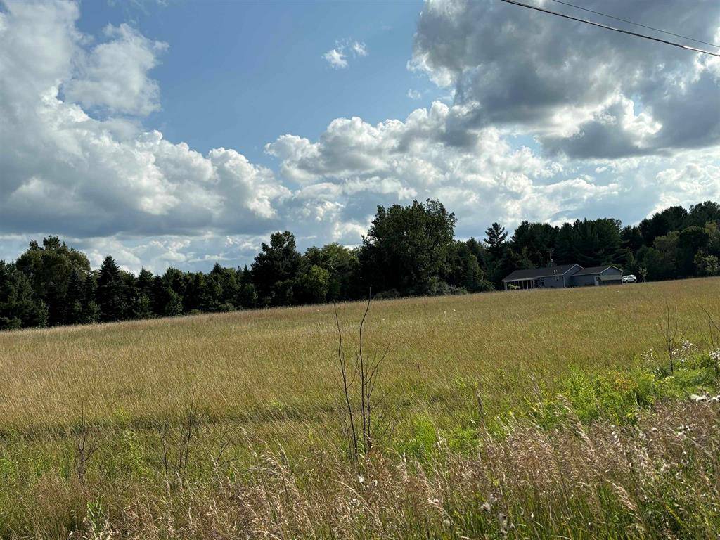 Mt. Pleasant, MI 48858,TBD Shepherd Road