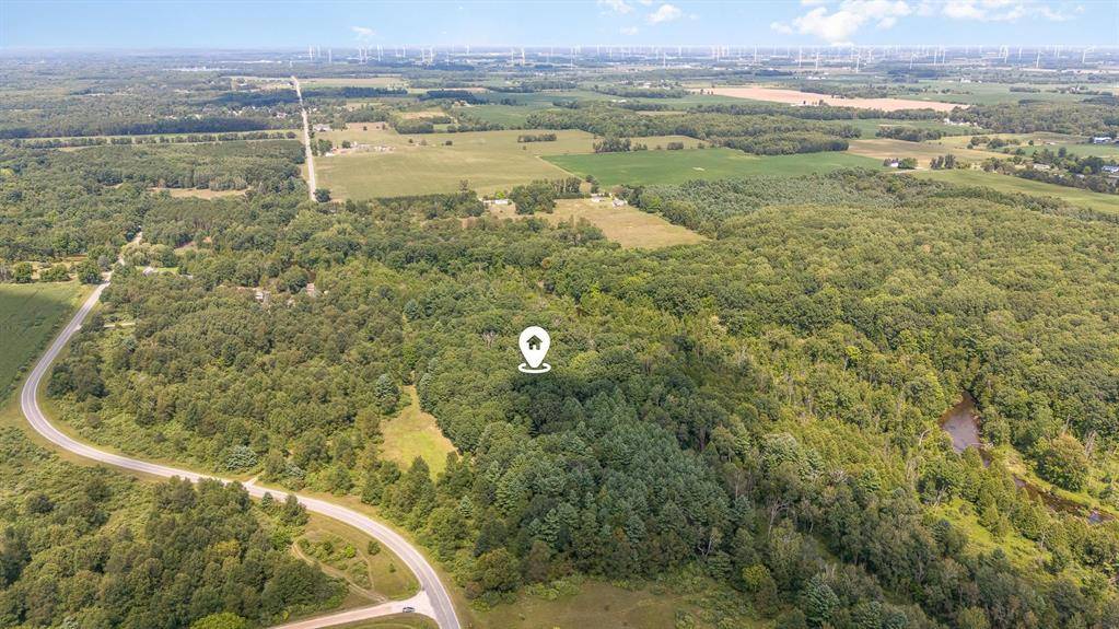 Deerfield Twp, MI 48858,TBD S Littlefield Road