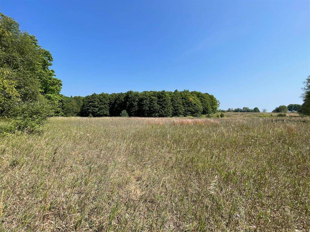 Paradise Twp, MI 49649,17.3Acres Marsh Road