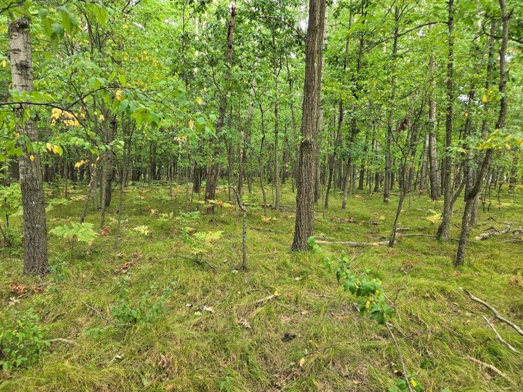 Sherman Twp, MI 48893,1009 Castle Drive Lot 88