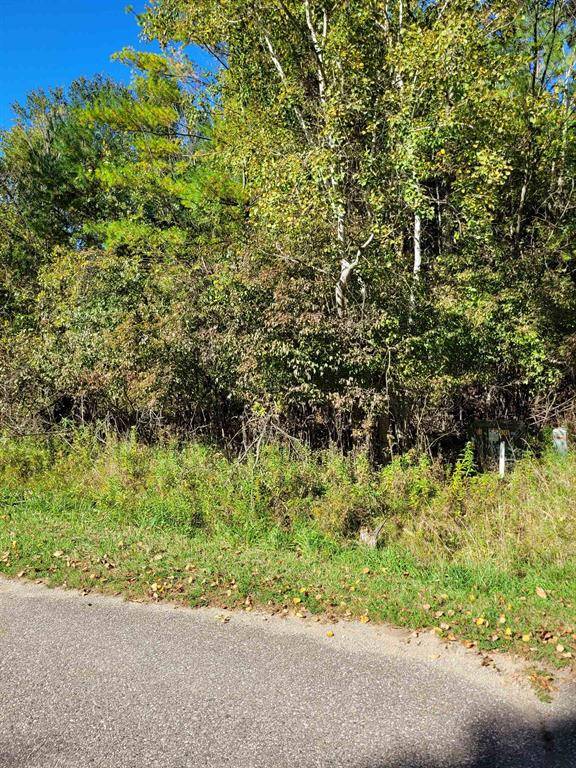 Butman Twp, MI 48624,TBD LOT 58 W Berkshire Drive