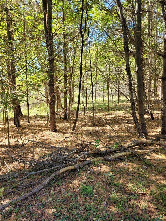 Butman Twp, MI 48624,TBD LOT 58 W Berkshire Drive