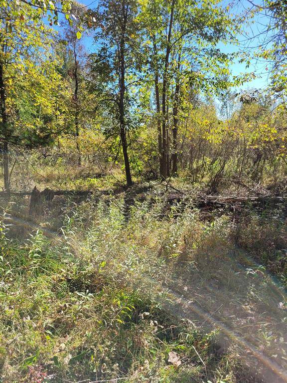 Butman Twp, MI 48624,TBD LOT 59 W Berkshire Drive