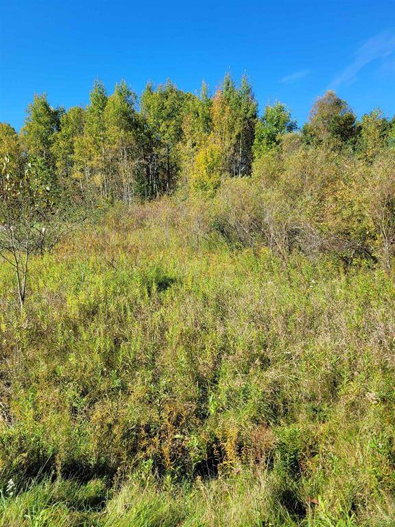 Butman Twp, MI 48624,TBD LOT 59 W Berkshire Drive