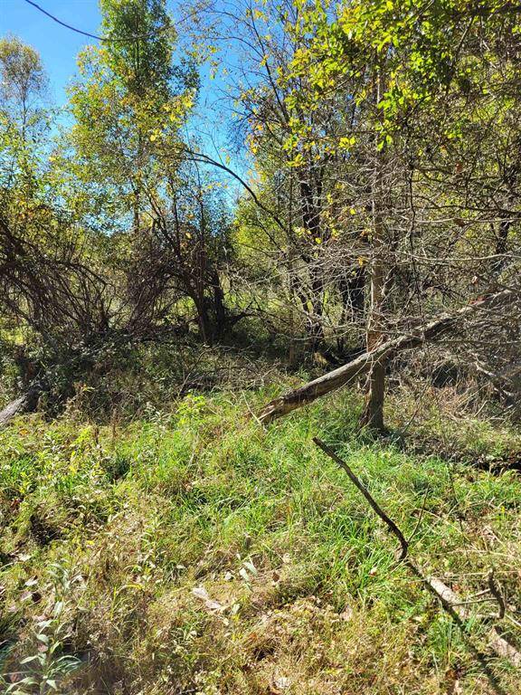 Butman Twp, MI 48624,TBD LOT 59 W Berkshire Drive