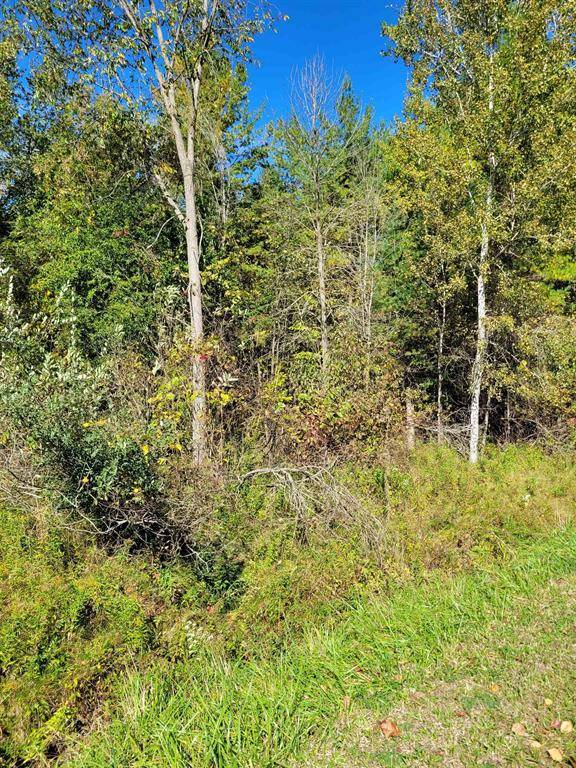 Butman Twp, MI 48624,TBD LOT 59 W Berkshire Drive