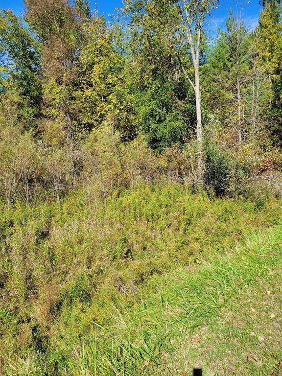 Butman Twp, MI 48624,TBD LOT 59 W Berkshire Drive