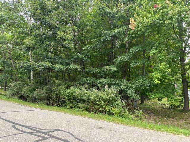 Sherman Twp, MI 48893,1064 Barcelona Drive