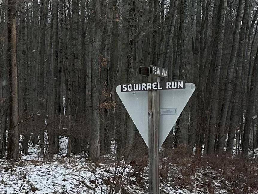 Lincoln Twp, MI 48622,Lot 40 Squirrel Run Lot: 40