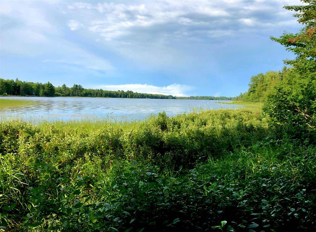 Torch Lake Twp, MI 49945,TBD Keweenaw Pass Road