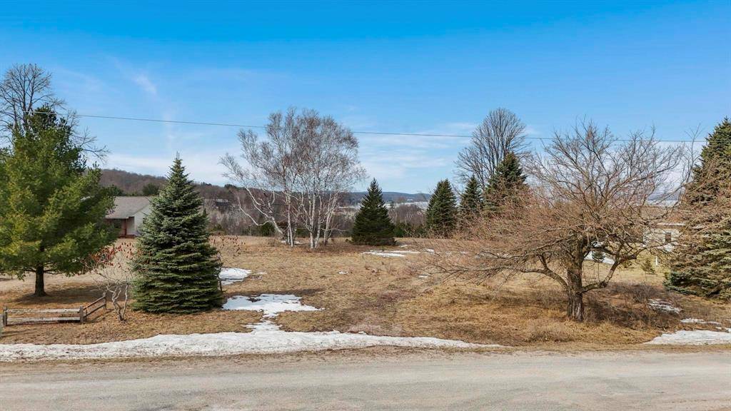 Benzonia Twp, MI 49617,390 Shields Drive Lot: 9