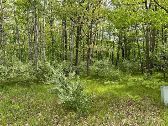 Sherman Twp, MI 48893,1004 Duquesa Drive Lot: 444