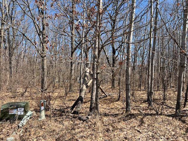 Sherman Twp, MI 48893,1004 Duquesa Drive Lot: 444