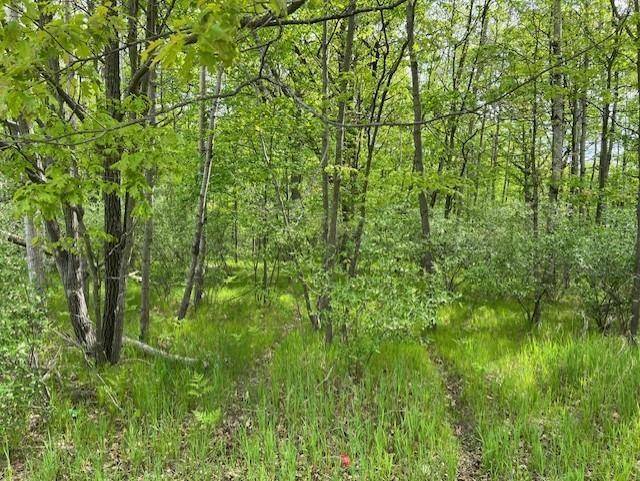 Sherman Twp, MI 48893,1004 Duquesa Drive Lot: 444