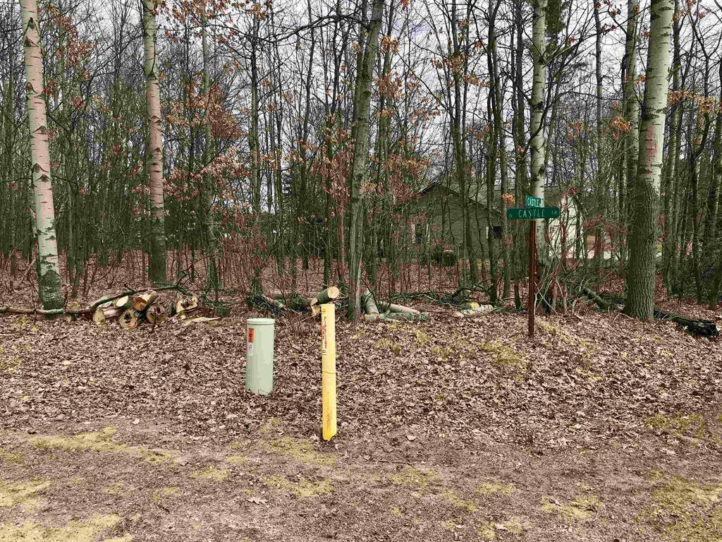 Sherman Twp, MI 48893,1035 Castle Drive
