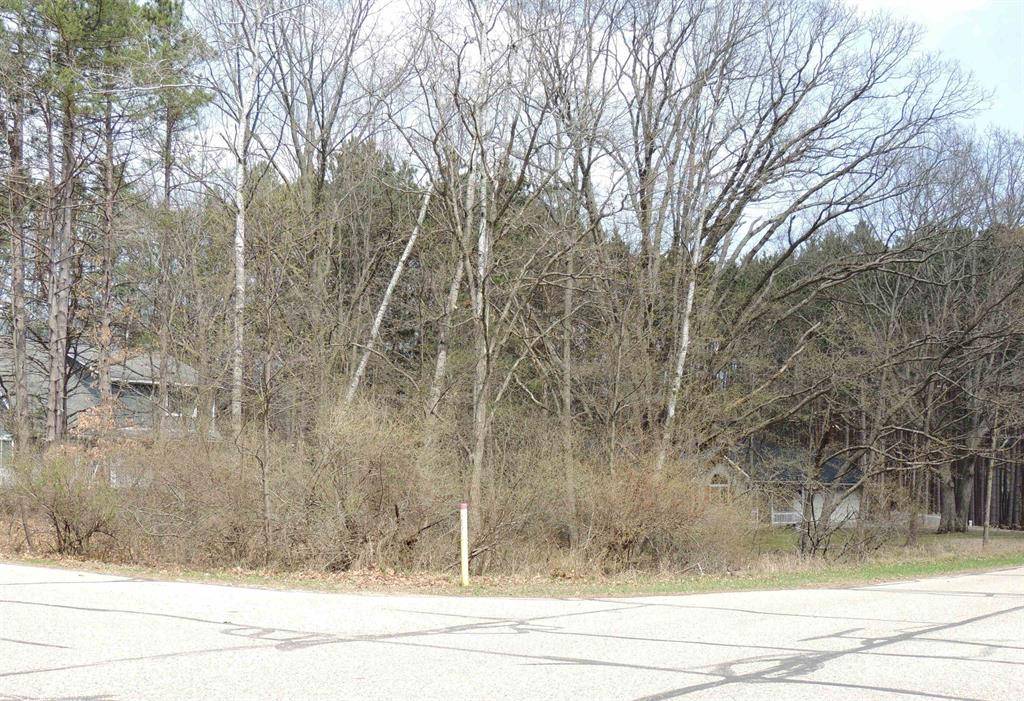 Sherman Twp, MI 48893,1026 York Lot 250