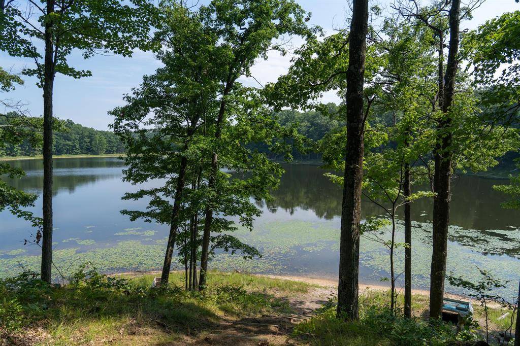 Lincoln Twp, MI 48625,3149 Bungo Trail