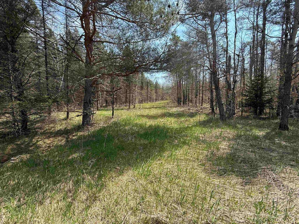 Fife Lake Twp, MI 49633,00 Hodge Road
