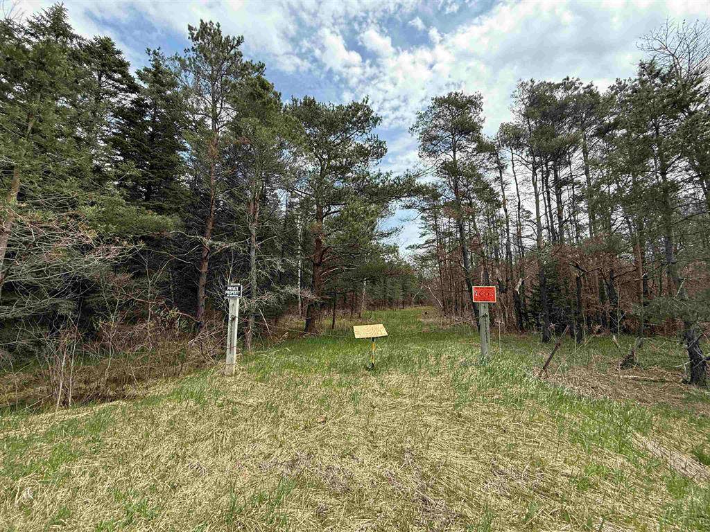 Fife Lake Twp, MI 49633,00 Hodge Road