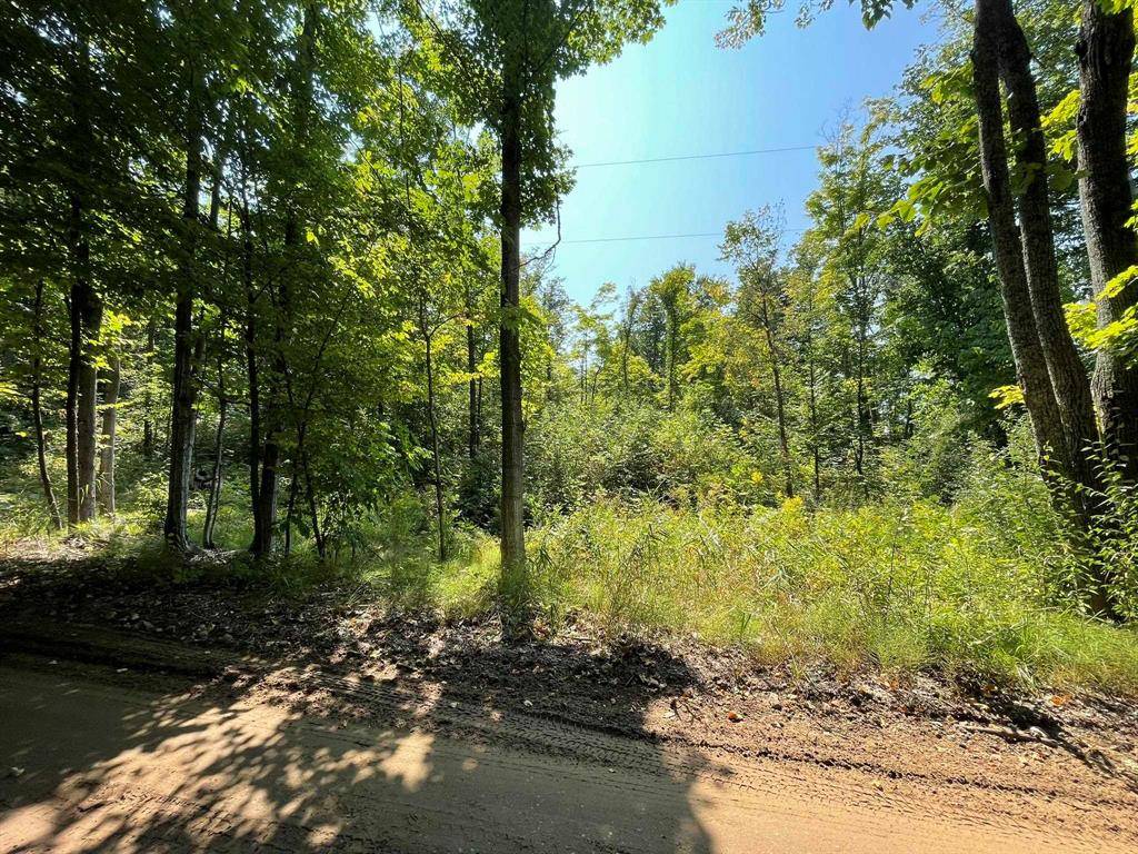 Paradise Twp, MI 49649,17+Acres Marsh Road