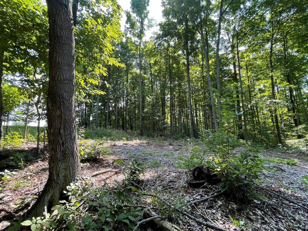 Paradise Twp, MI 49649,17+Acres Marsh Road