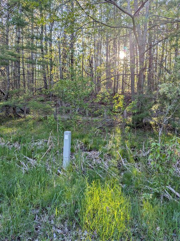 Tuscarora Twp, MI 49749,512 S Grandview Beach Road