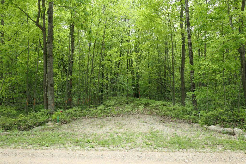 Chippewa Twp, MI 48883,TBD S Lakeside Trail
