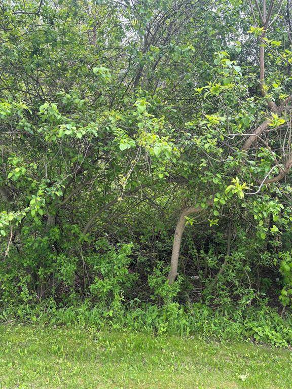 Chippewa Twp, MI 48858,Lot 49 Leona Drive