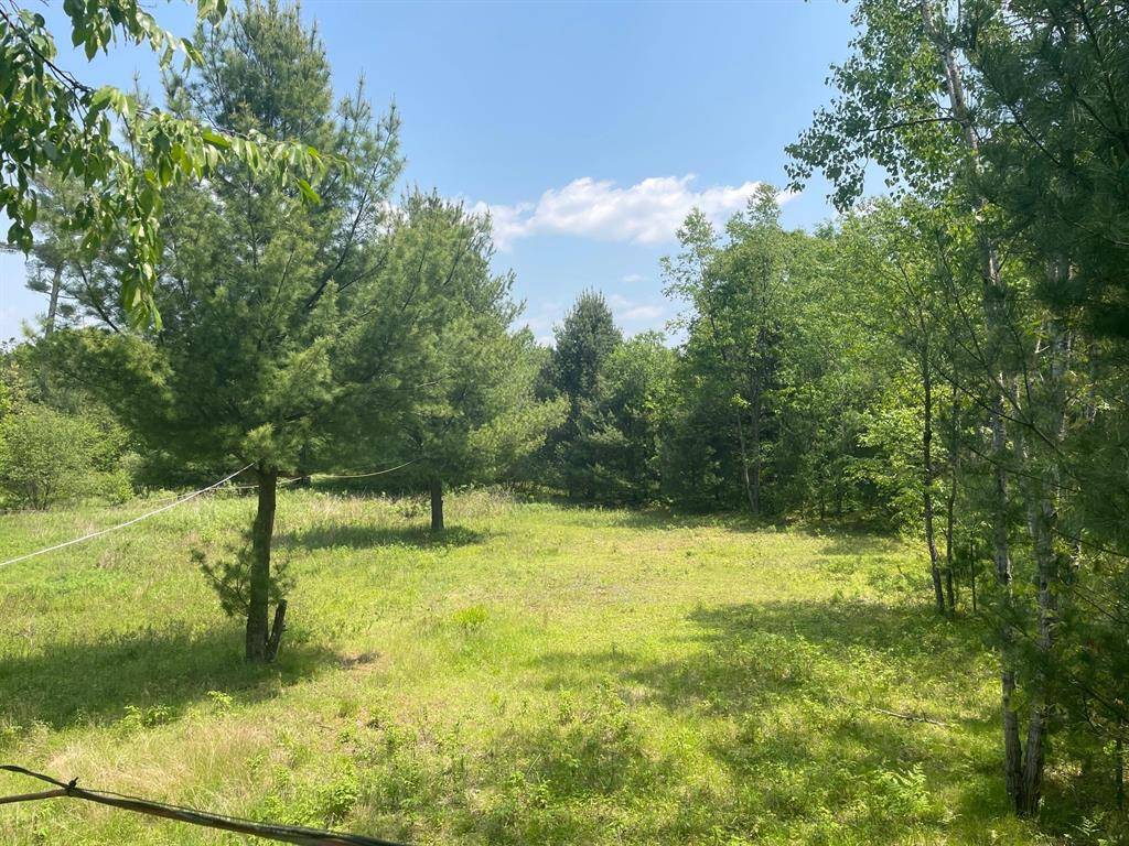 Freeman Twp, MI 48632,2167 Strawberry Avenue