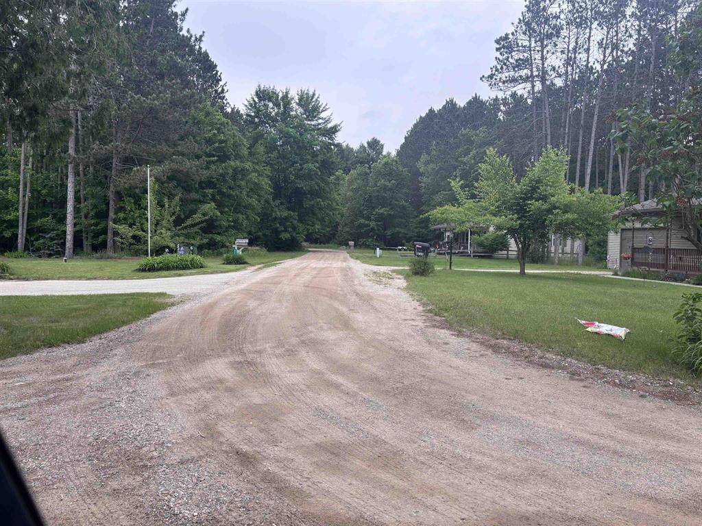 Surrey Twp, MI 48622,TBD Primrose Lane Unit 53