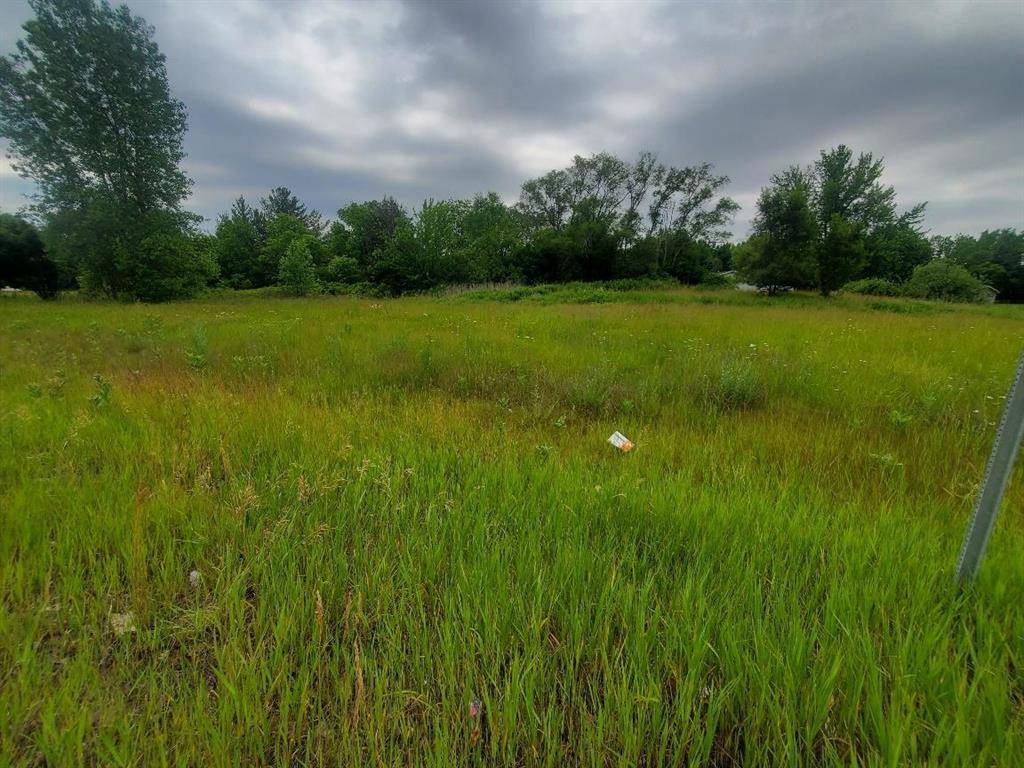 Chippewa Twp, MI 48858,7205 E Pickard Road Lot: 12