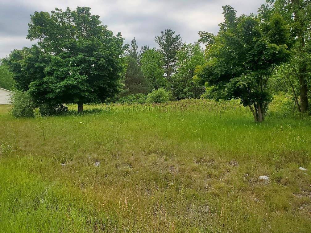 Chippewa Twp, MI 48858,7205 E Pickard Road Lot: 12
