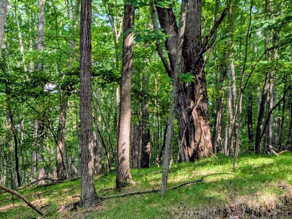Morton Twp, MI 49346,11717 Broken Arrow Lot: 226