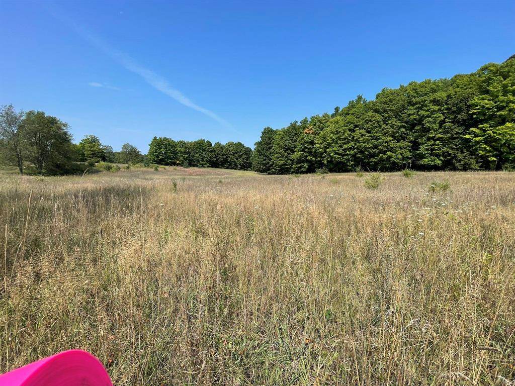 Paradise Twp, MI 49649,17+/-ACRES Marsh Road