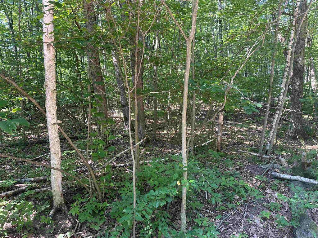 Lincoln Twp, MI 48622,Lot # 179 Mockingbird Circle