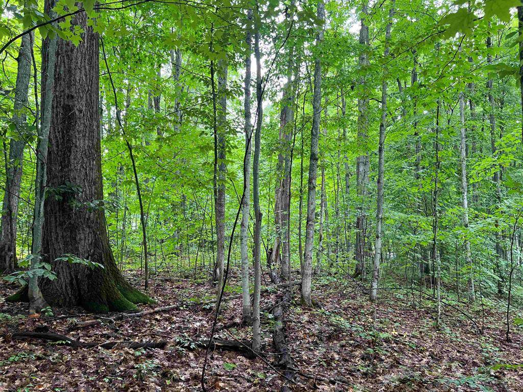 Cold Springs Twp, MI 49646,4656 E Circle Drive