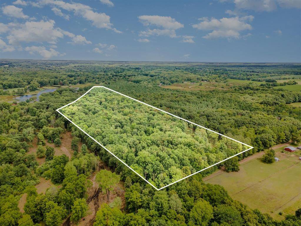 Ferris Twp, MI 48818,TBD E Klees Road