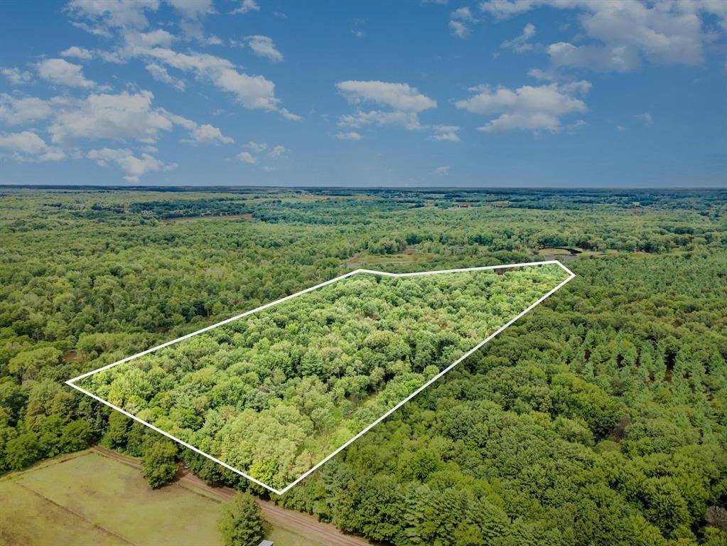 Ferris Twp, MI 48818,TBD E Klees Road
