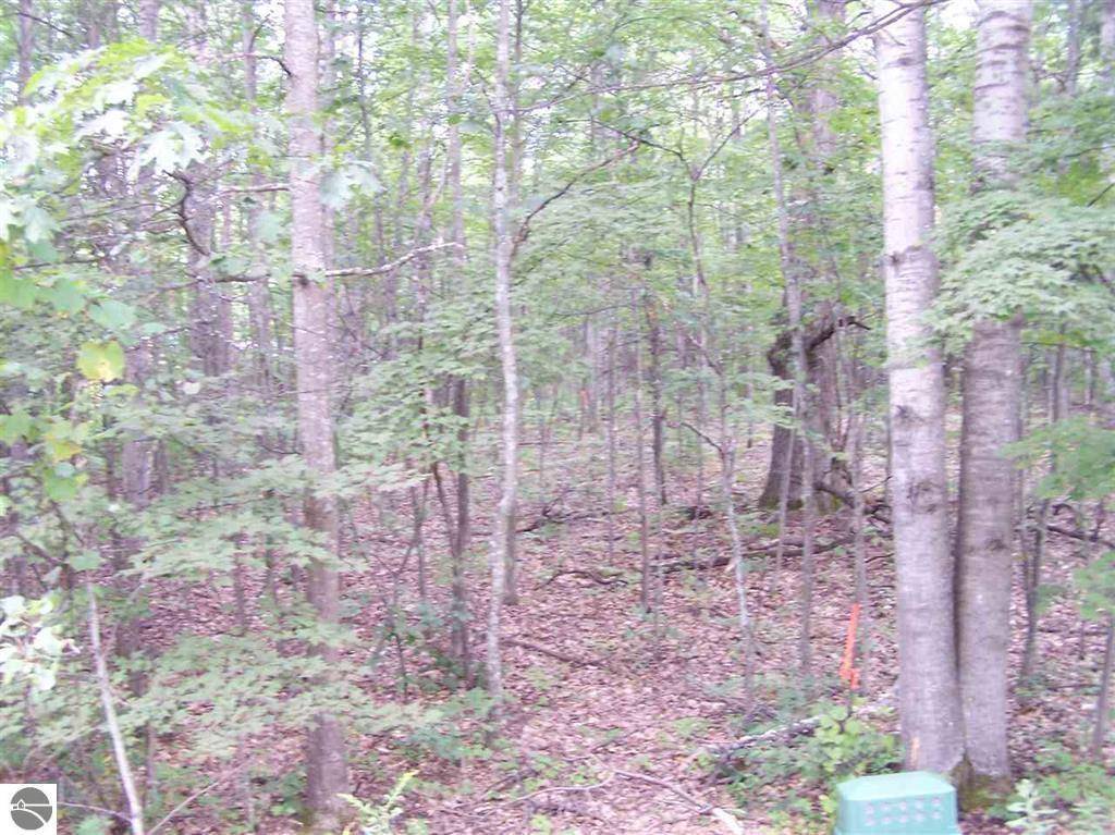 Surrey Twp, MI 48622,N Circle E