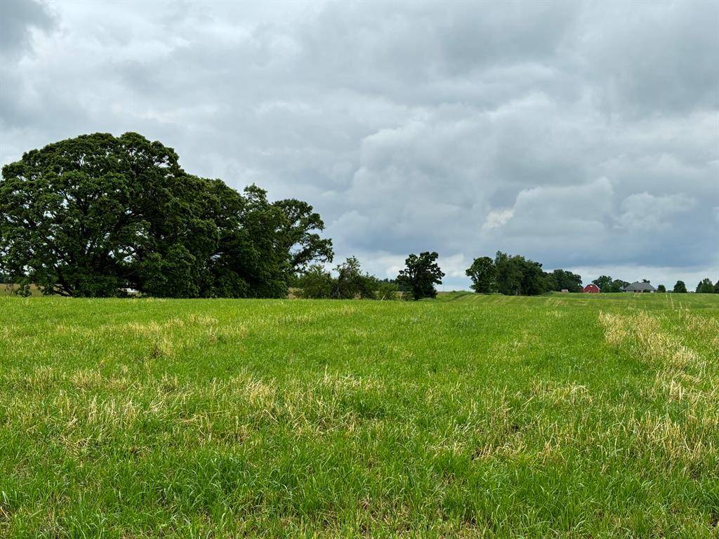 Sharon Twp, MI 48158,Parcel L Sharon Valley Road