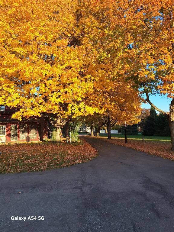 Lodi Twp, MI 48176,6200 Ann Arbor Saline Road