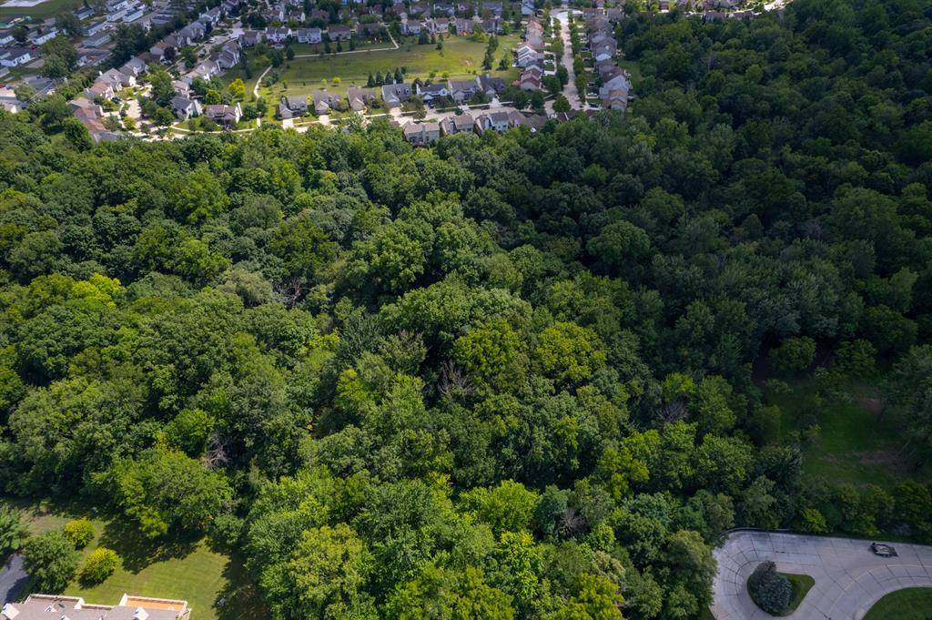 Canton Twp, MI 48188,0 Newton Street