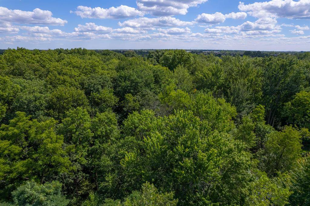 Canton Twp, MI 48188,0 Newton Street