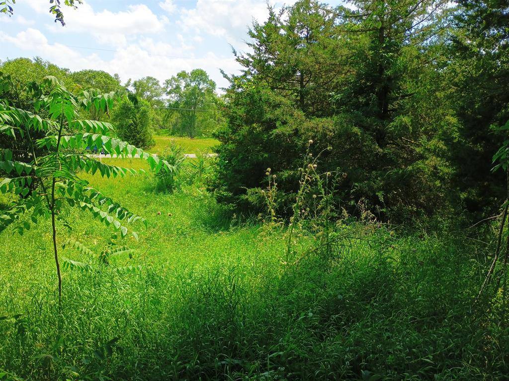 Leoni Twp, MI 49254,0 Huggins Road