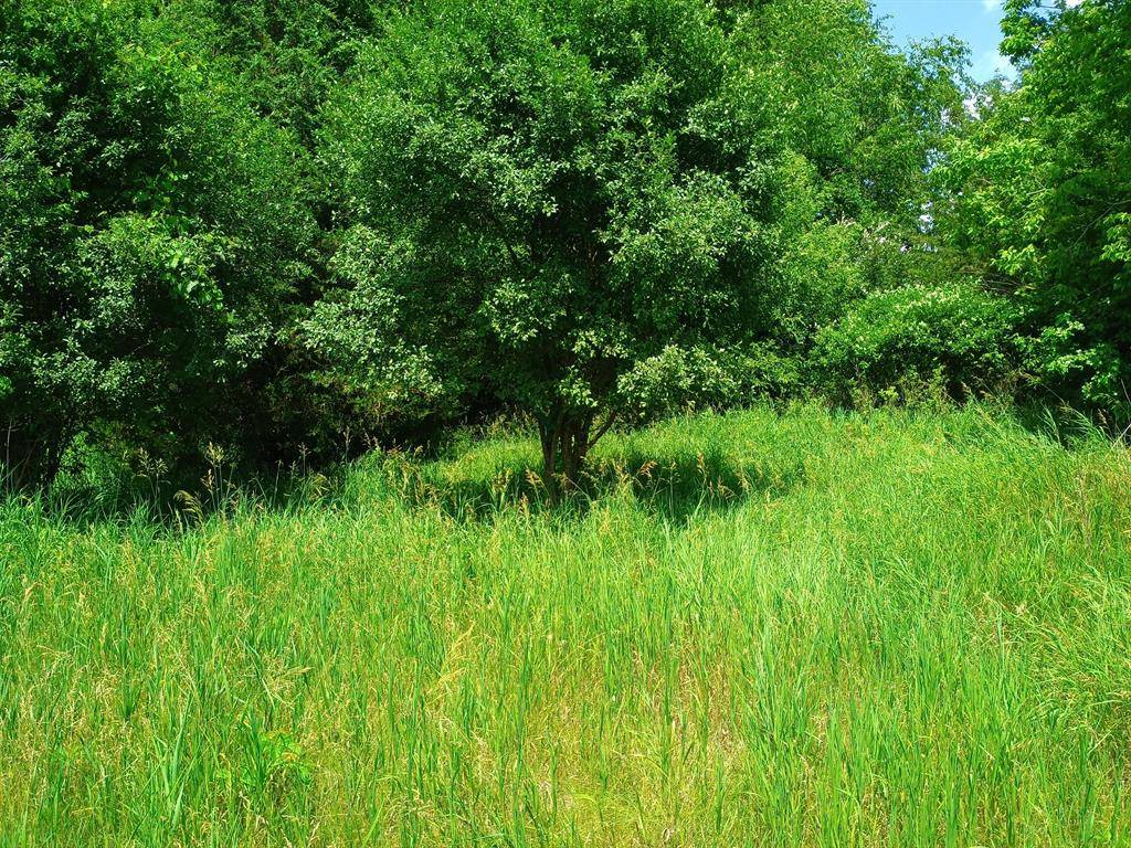 Leoni Twp, MI 49254,0 Huggins Road